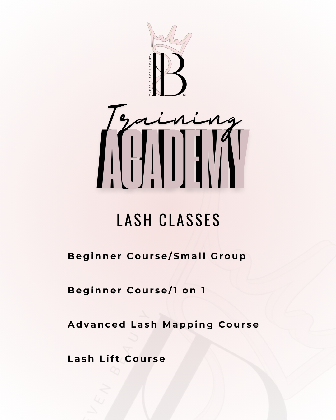 Beginner Lash Course 1 on 1